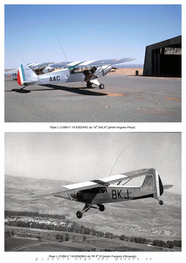 Piper L-21B_000036.jpg